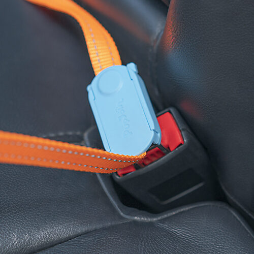 Car Safety Buckle Traction Rope
