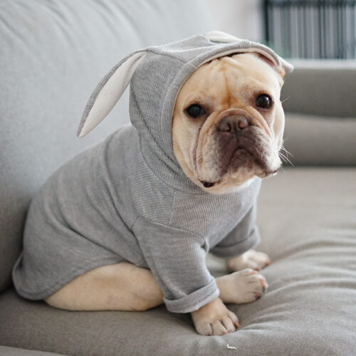 Bunny Ear Hoodie for Dogs