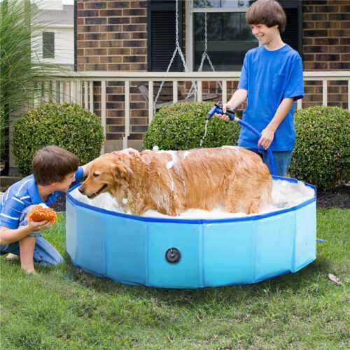 Outdoor Indoor Collapsible Bathing Pool For Dogs Cats & Kids