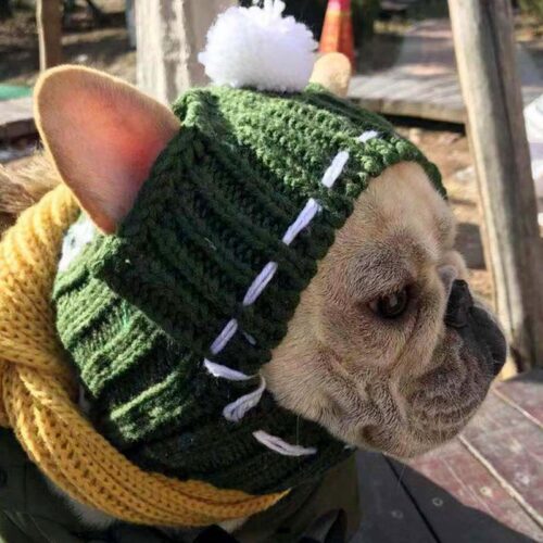Wool Winter Beanie Hat for Small Dogs