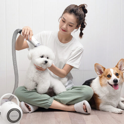 Multi-Tool Dog Tripper with Vacuum
