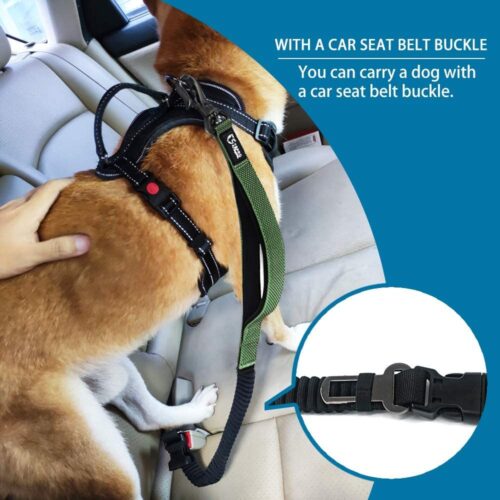 Dog Seatbelt and Restraint for Car