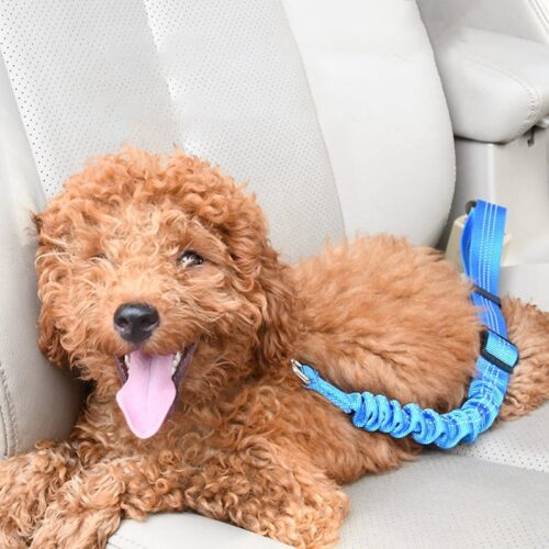 Elastic Car Seatbelt and Restraint for Dogs