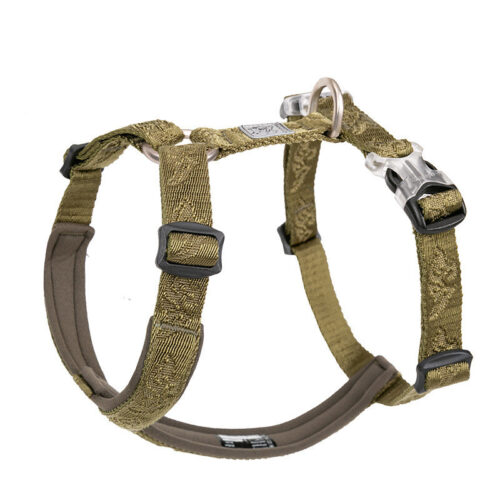Medium and Large Dog Leash, Harness and CHest Strap, Anti-Take Off