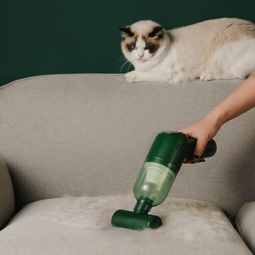 Wireless Pet Hair Vacuum