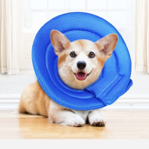 Comfortable & Flexible Dog Elizabethan E-Collar Cone