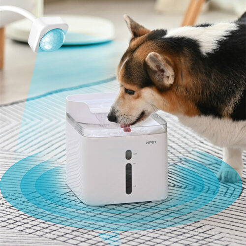 Constant Moving Dog Water Bowl Waterfall with Filtration