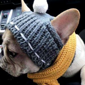 Winter hats for dogs